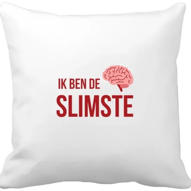 Akyol ik ben de slimste Kussen hoes - Zelfvertrouwen - iemand die heel slim is - quote - cadeautje voor een slim persoon - nerd - kado - cadeau - gift - geschenk - verrassing - slimme mensen - 40 bij 40 cm Multicolor