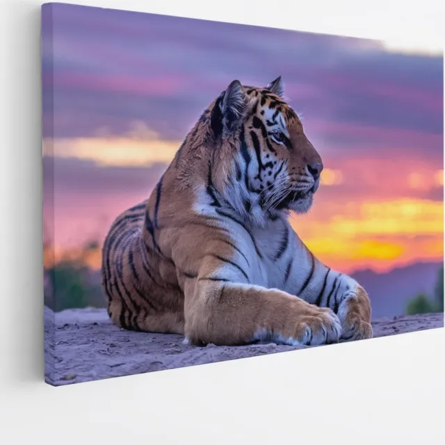 Saammp Canvas Schilderij - Tijger op steen tijdens zonsondergang - Natuur - Dieren - 100x75 - Foto op canvas - Wanddecoratie - muurdecoratie Woonkamer - Slaapkamer decoratie - Canvas Print Multicolor