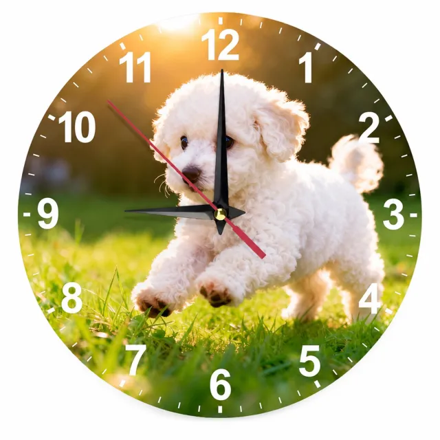SWGOTA Ronde wandklok van acryl, 30 cm, met bichon op gras, witte cijfers en analoge wijzers Groen