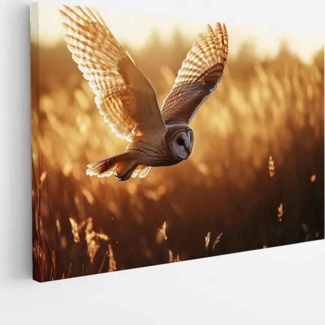 Saammp Canvas Schilderij - Vliegende Uil - Zonsondergang - Dieren - 40x30 - Foto op canvas - Wanddecoratie - muurdecoratie Woonkamer - Slaapkamer decoratie - Canvas Print Multicolor