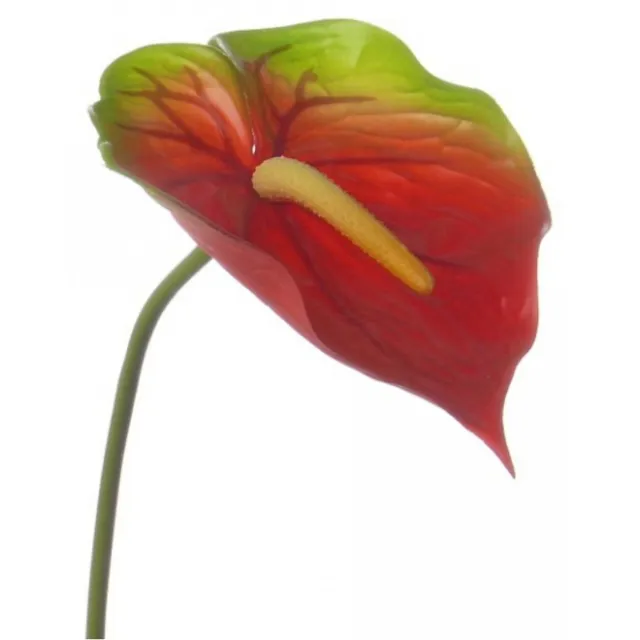 Bellatio Flowers & Plants Anthurium kunstbloem tak - 4x - rood met groen - 78 cm - stelen