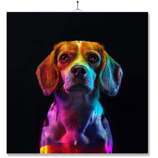 MC Living Tegel Met Opdruk | Close up | Regenboog | Beagle Ontwerp 1