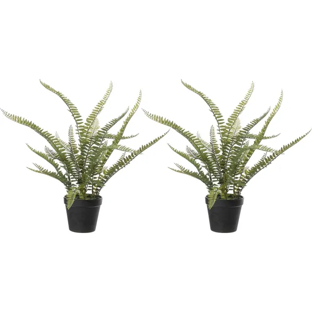 Louis Maes Varen Nephrolepis - 2x stuks - Kunstplant - Groen - 50 cm