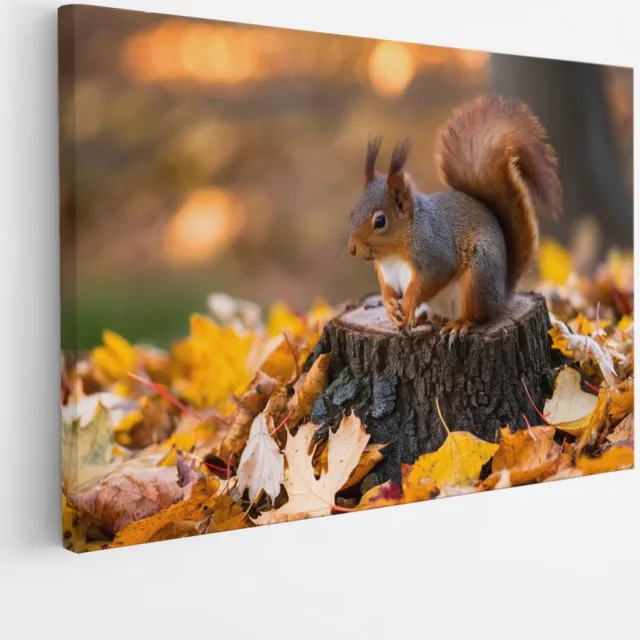 Saammp Canvas Schilderij - Eekhoorn op boomstam - Natuur - Dieren - 70x50 - Foto op canvas - Wanddecoratie - Muurdecoratie Woonkamer - Slaapkamer decoratie - Canvas Print Multicolor