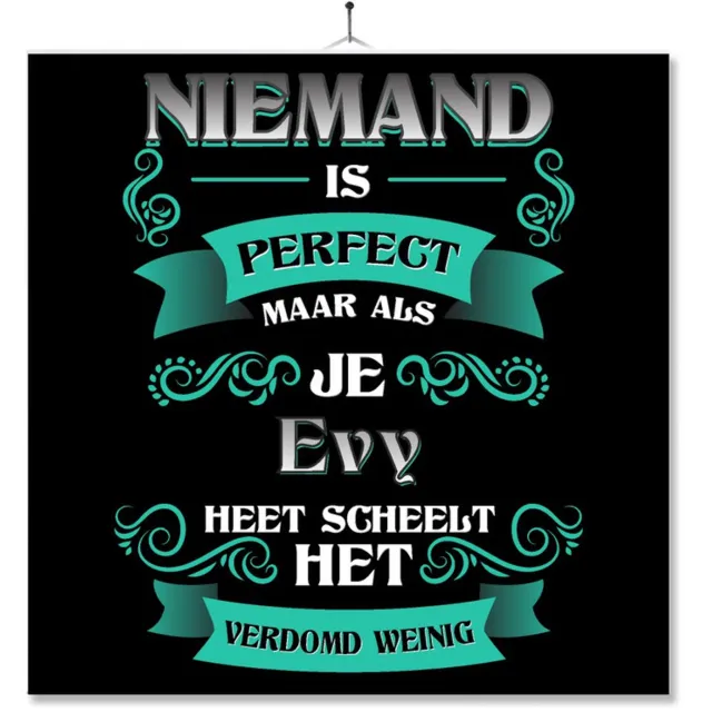 MC Living Tegel Met Opdruk | Kado | Cadeau | Niemand Is Perfect Maar Als Je Evy Heet Scheelt Het Verdomd Weinig Multi-Color