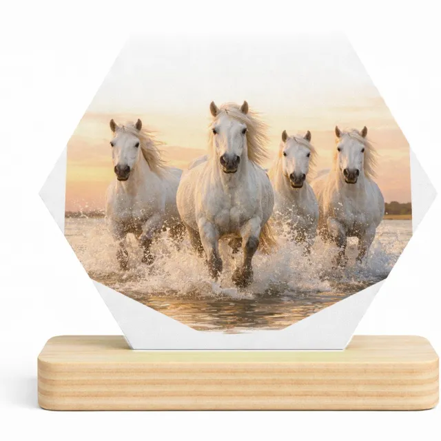 Mr Cadeautjes MDF fotolijst/inleg hexagon 14 x 13 - design Een dynamische natuurscène met een enkele centrale hoofdfigu | cadeau Wit