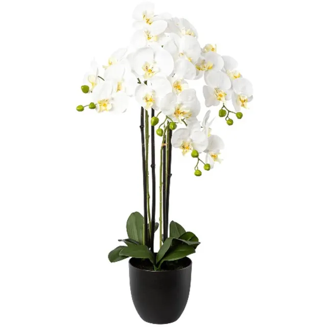 Gasper Kunstplant Vlinderorchidee Wit 4 takken 83 cm