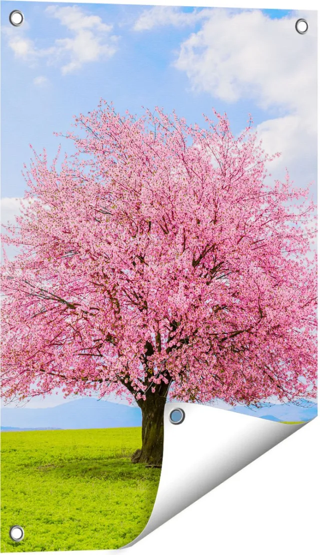Gards Tuinposter Roze Sakura Bloesem Boom in het Groene Veld - 40x60 cm - Tuindoek - Tuindecoratie - Wanddecoratie buiten - Tuinschilderij Multikleur