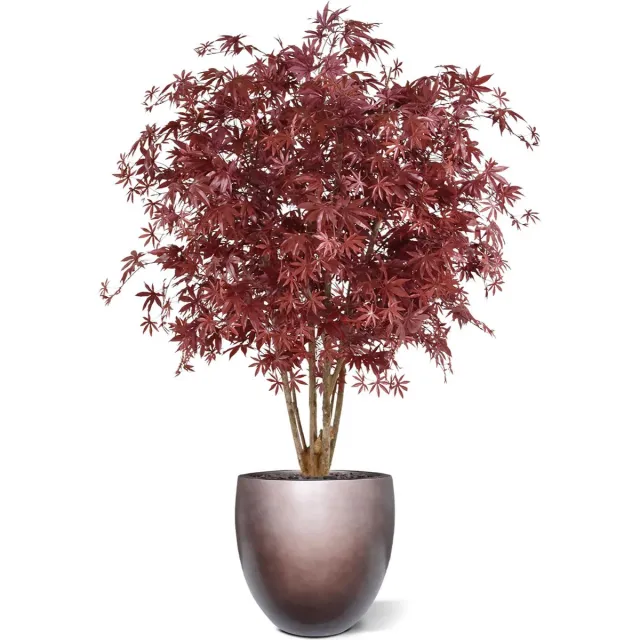 maxifleur Kunstplanten Acer Maple deluxe kunstboom 165cm - burgundy Rood