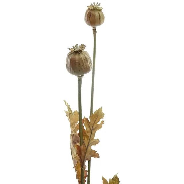 Gasper Herfstdecoratie Klaproostak Lichtbruin 74 cm - Kunstbloemen
