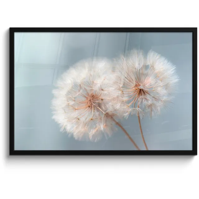 FrameYourWall Poster in lijst - Fotolijst 90x60 cm - Posters - Paardenbloemen - Pluisjes - Wit - Posterlijst zwart - Decoratie - Wanddecoratie woonkamer - Muurdecoratie slaapkamer