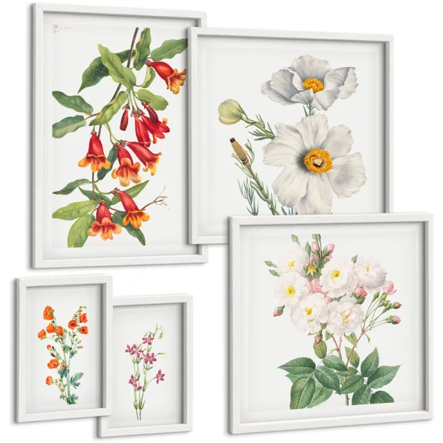 TULUP 4-Delige Schilderij Set - Bloemenillustraties in botanische stijl op een witte achtergrond. - 50 x 50 cm, 20 x 30 cm en 40 x 60 cm - Schilderijen Set - Wanddecoratie - Woonkamer - Interieur Decoratie Witte lijst