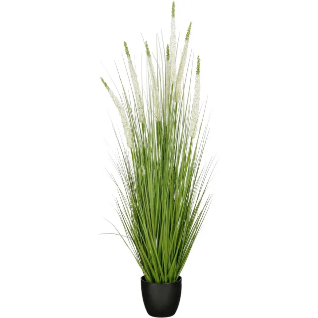 Mica Decorations Eremurus – Kunstgras in Pot – Realistische Nepplant Woondecoratie – Kunstplanten voor Binnen en Buiten – H140 x Ø45 cm – Groen, Wit