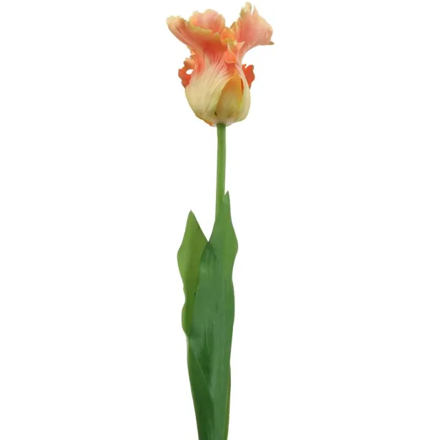 Viana Kunstbloem papegaai tulp oranje lentebloem 63cm