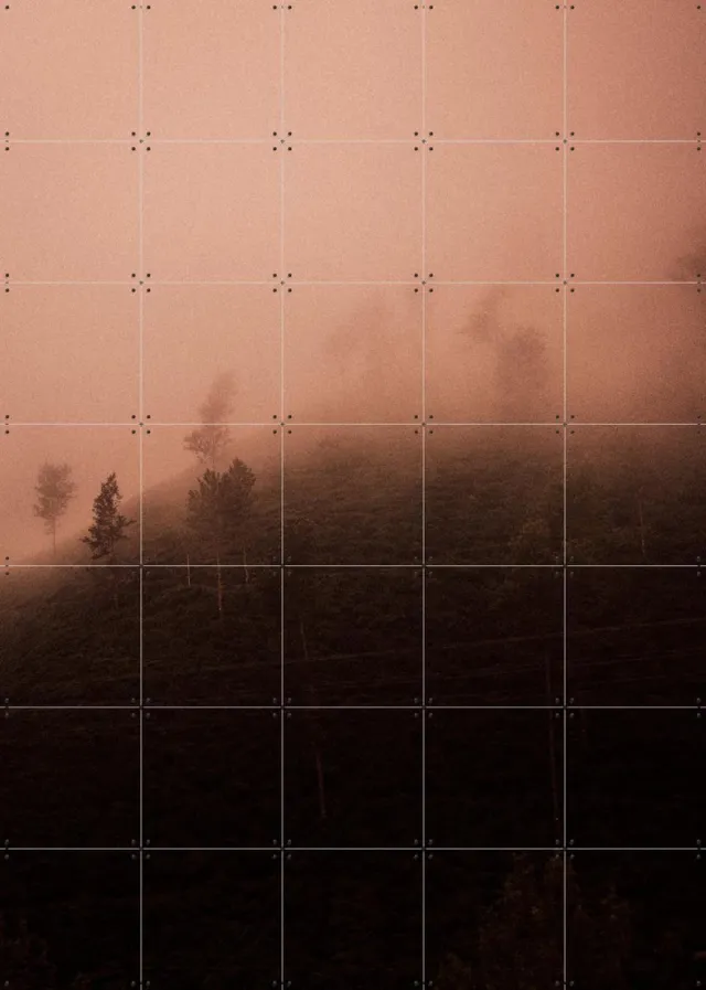 IXXI Red Morning, Chris Abatzis - 100 x 140 cm - Grote wanddecoratie en posters - Fotografie, Slaapkamer, Woonkamer, Winter, Mist, Bomen, Natuur Rood / Warme kleuren