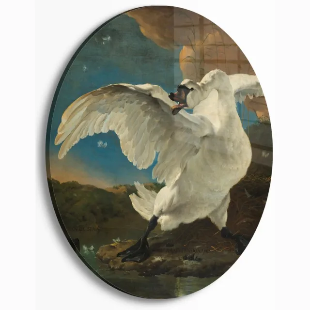 Myfinto Indoorart - Muurcirkel de bedreigde zwaan Plexiglas 30 cm - Wanddecoratie - Afbeelding op Plexiglas - Inclusief ophangplaat blauw, wit, bruin, groen, zwart