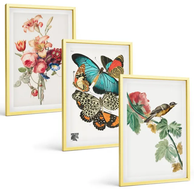 Coloray 3-Delige Schilderij Set - Bloemen, Vlinders En Vogels In Pasteltinten - 40 x 40 cm En 40 x 60 cm - Muurdecoratie - Decoratieve Schilderijen - Wohnzimmer - Woonkamer Decoratie Gouden lijst