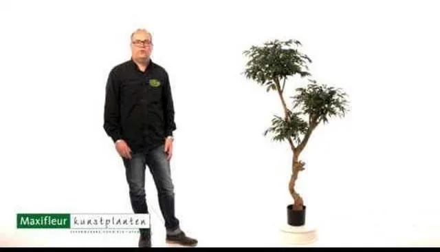 maxifleur Kunstplanten Shirakashi Layer deluxe x3 kunstplant 160cm Groen