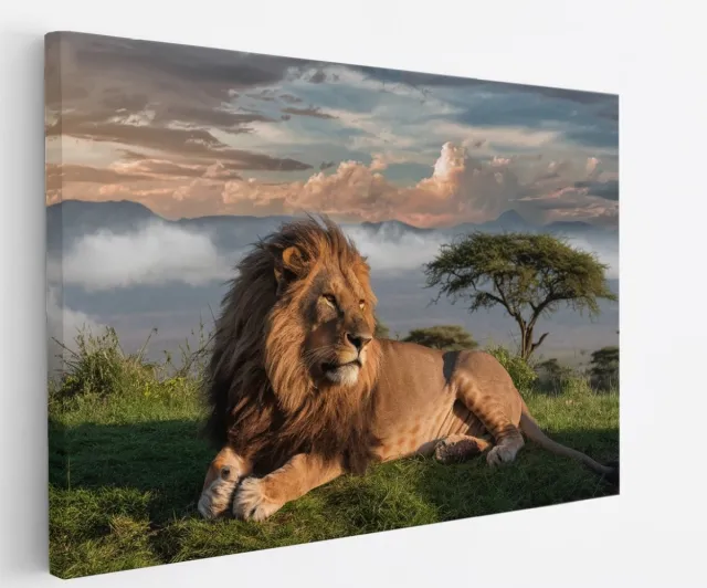 Saammp Canvas Schilderij - Leeuw bovenop een berg - Landschap - Dieren - Natuur - 40x30 - Foto op canvas - Wanddecoratie - Muurdecoratie Woonkamer - Slaapkamer decoratie - Canvas Print Multicolor