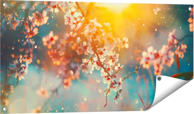 Gards Tuinposter Bloesemboom tijdens Zonsondergang - Bloem - 100x50 cm - Tuindoek - Tuindecoratie - Wanddecoratie buiten - Tuinschilderij Multikleur
