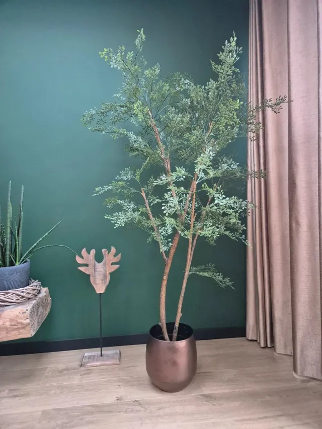 Florafy Kunstplant Ficus Cassia 180cm - Kunstplanten voor binnen - Onderhoudsvrij Groen