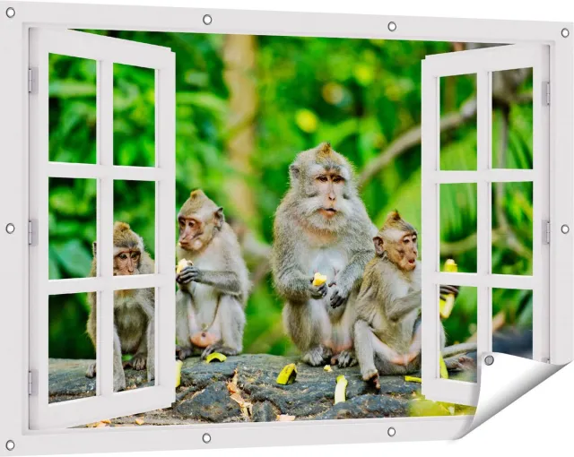 Gards Tuinposter Doorkijk Groep Apen Eten Bananen in het Bos - 120x80 cm - Tuindoek - Tuindecoratie - Wanddecoratie buiten - Tuinschilderij Wit