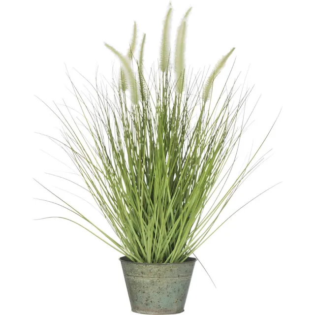 Dulaire Kunst Siergras in Pot Groot 55 cm groen