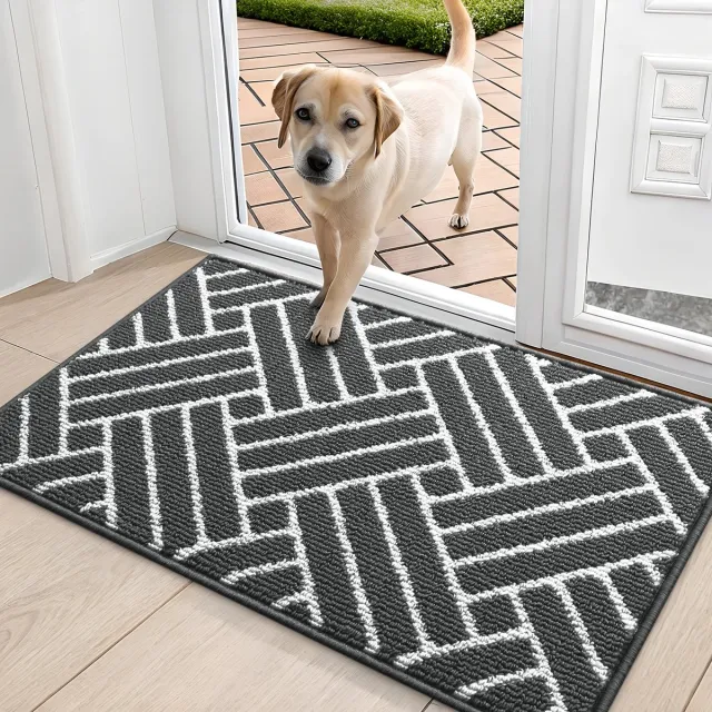 Homaxy Deurmat Binnen - Antislip Deurmat - Schoonloopmat - Deurmat voor binnen en buiten - Donkergrijze - 51x82cm
