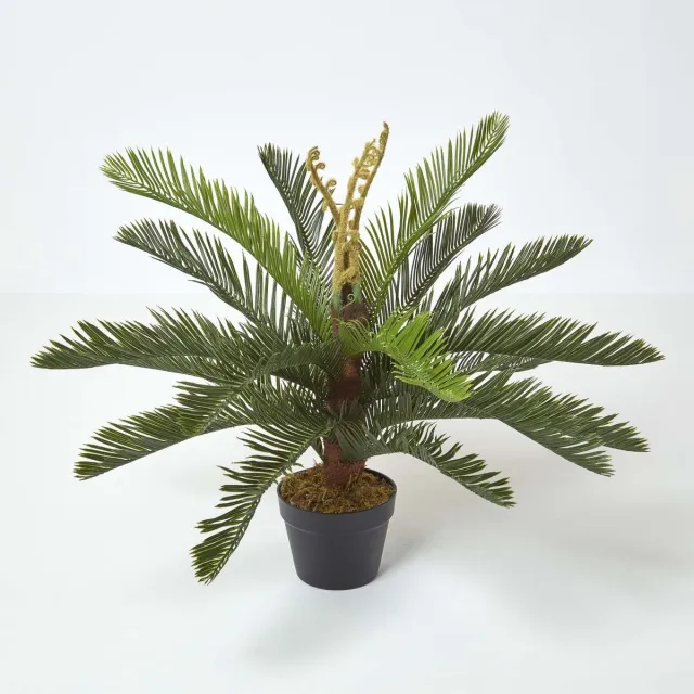 Homescapes Kunstplant Groene 'Cycadales' Cycadales Plant in Pot, 75 cm