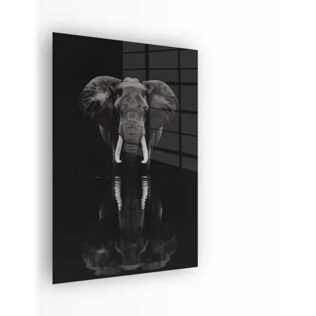 Indoorart Glasschilderij Olifant in het Water 40x60 CM - Afbeelding op plexiglas - Inclusief montagemateriaal zwart, wit