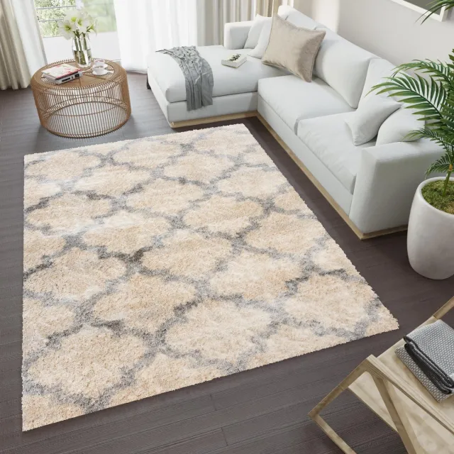 Tapiso Versay Vloerkleed Hoogpolig Shaggy Woonkamer Tapijten Maat- 120x170 Beige1