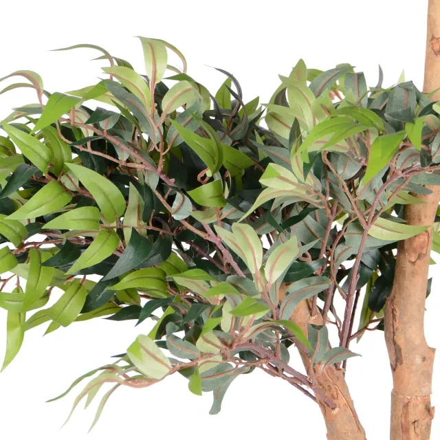 UNUS Kunstplant Ficus Ruscus 80 cm met echte houten stam, kamerplant met natuurlijke houten stam groen