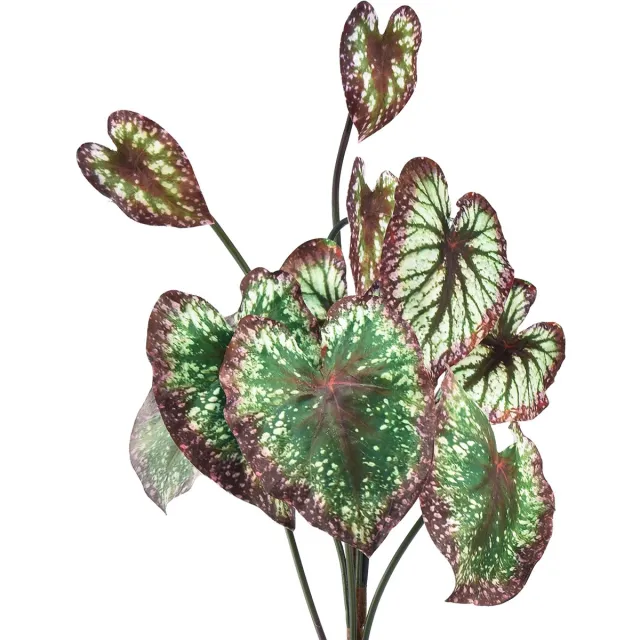 Viana Begonia Kunstplanten Bladbegonia's Groen Paars 62cm groente