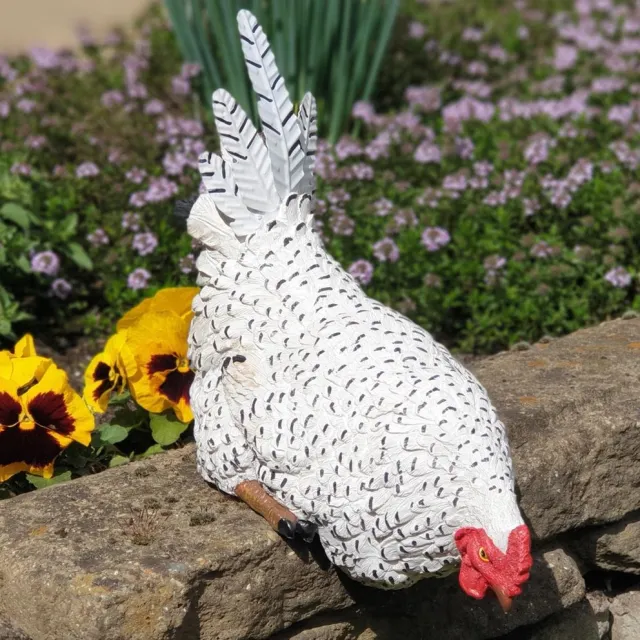 Inspiring Minds Zittend Kip beeld wit 24cm kippen tuinbeeld op rand - Kip decoratie| GerichteKeuze