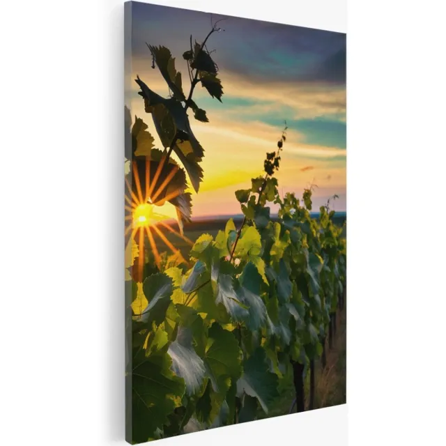 Saammp Canvas Schilderij - Wijngaarde met zonsondergang - Natuur - Landschap - 40x60 - Foto op canvas - Wanddecoratie - Muurdecoratie Woonkamer - Slaapkamer decoratie - Canvas Print Multicolor