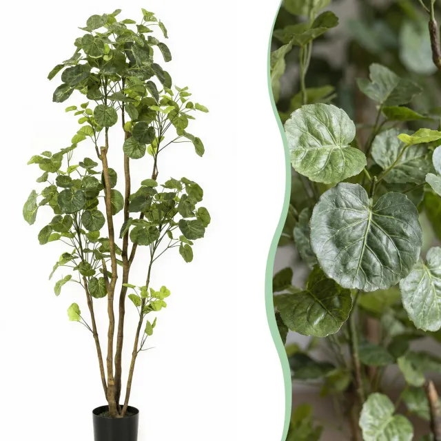 Green Harmony Plants Kunstplant - Polyscias - Aralia - 160 cm Bruin
