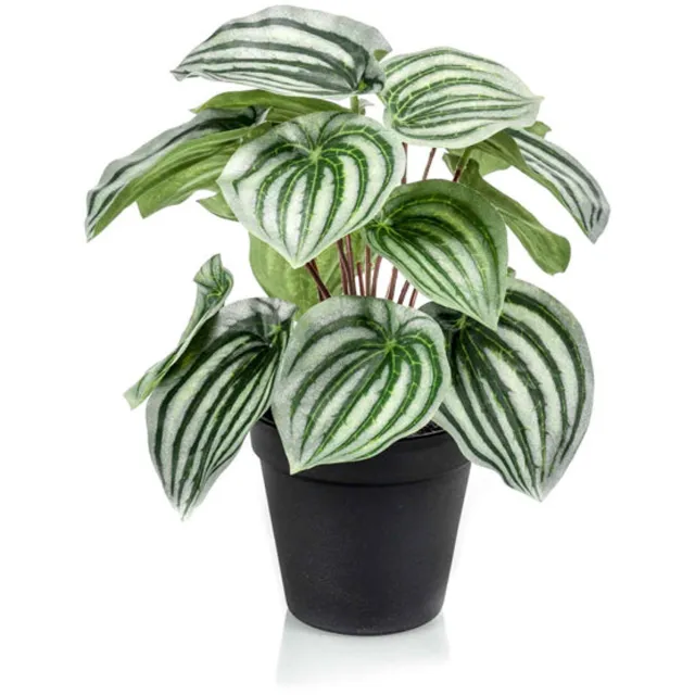 Emerald Kunstplant in pot Peperomia groen/grijs 25cm - Kunstplant voor binnen Groen, Grijs