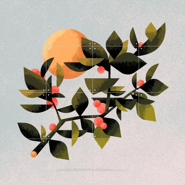 IXXI Plont 2, Studio Muti - 80 x 80 cm - Grote wanddecoratie en posters - Speels, Illustraties, Digitale Kunst, Grafisch Ontwerp, Woonkamer Lichte tinten / Groen