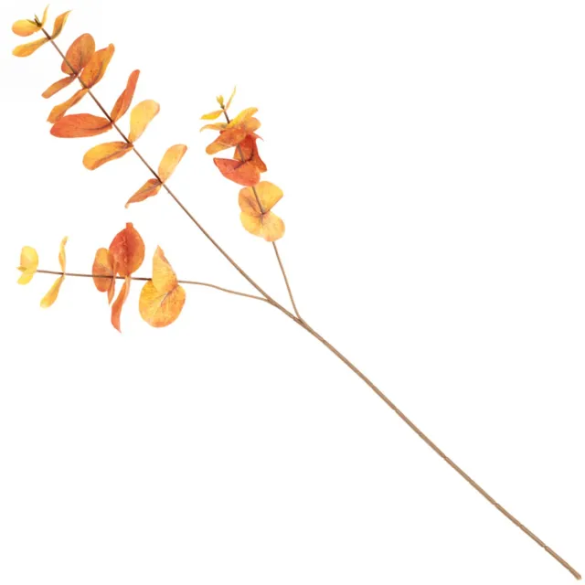 homebound by ky Eucalyptus tak oranje | Eucalyptus | Eucalyptus tak | kunsttak