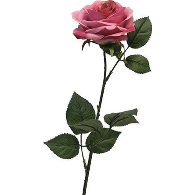 Nova Nature Rosa Dijon dark pink 64 cm kunstbloem Nova Nature Groen