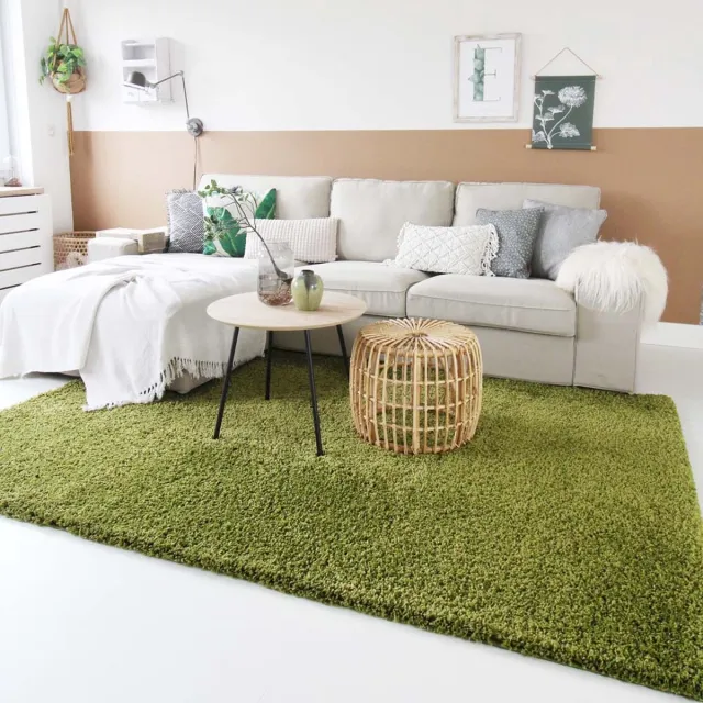 Tapeso Hoogpolig vloerkleed - Shaggy Trend groen 200x300