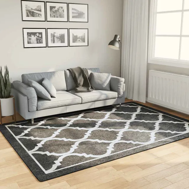 vidaXL Vloerkleed wasbaar zwart en wit, foto 7