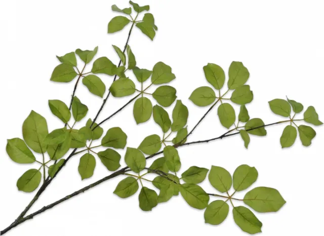 Silk-ka Kunstbloem - blad - groen - H120 cm