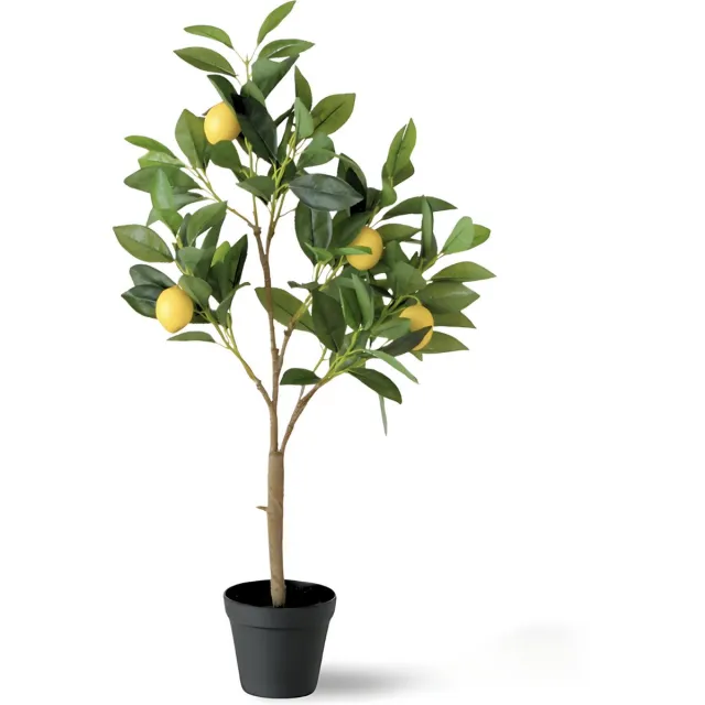 Dulaire Kunst Citroenboom In Pot 73 cm groen