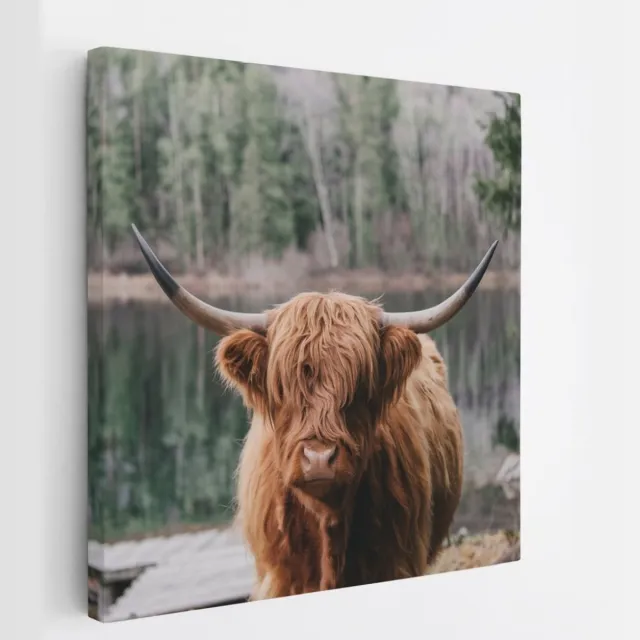 Saammp Canvas Schilderij - Schotse Hooglander Koe bij zonsopgang in herfstachtig bos - Dieren - Natuur - 100x100 - Foto op canvas - Wanddecoratie - muurdecoratie Woonkamer - Slaapkamer decoratie - Canvas Print Multicolor