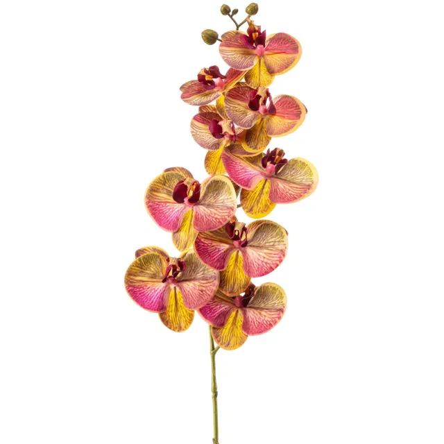 Emerald Kunstbloem Phalaenopsis RT 95cm geel/roze - Kunstplant voor binnen