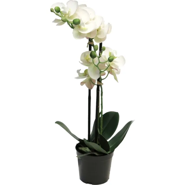 Bellatio Design Orchidee bloemen kunstplant Bora - bloemen/bloemetjes - wit - H55 cm - Phalaenopsis