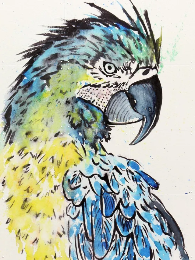 IXXI The Blue Macaw Parrot, Natalie Bruns - 60 x 80 cm - Grote wanddecoratie en posters - Illustraties, Kleurrijk, Aquarel, Woonkamer, Vogels, Natuur Blauw