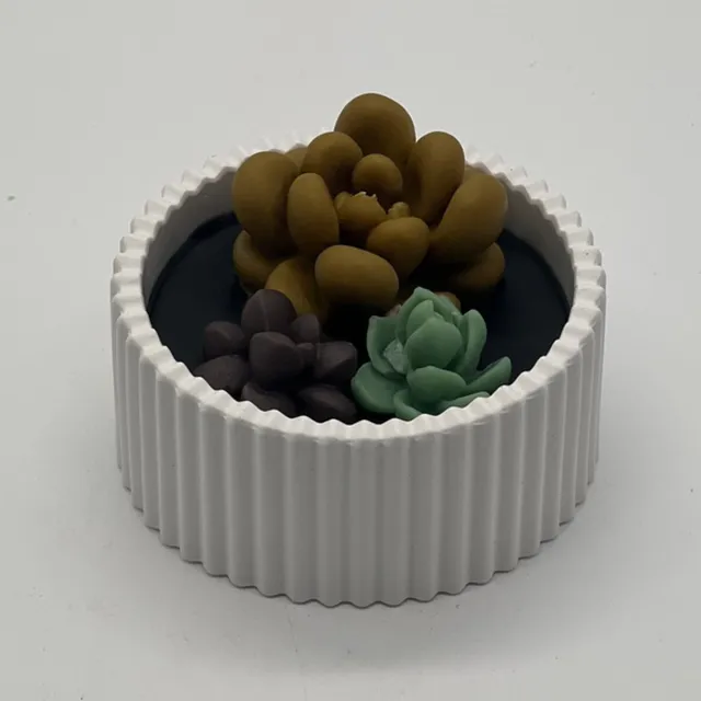 KV designs Kaars in glazen pot - cactus collectie - 790