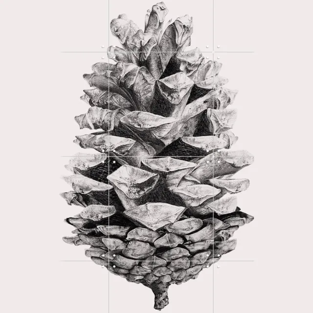 IXXI Pinecone, IXXI - 60 x 80 cm - Grote wanddecoratie en posters - Illustraties, Grafisch Ontwerp, Line art, Slaapkamer, Woonkamer, Kerst, Natuur Monochroom / Warme kleuren / Bruin / Wit